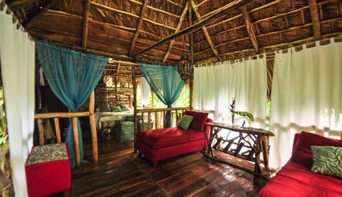 Tree House Deluxe, vue jardin