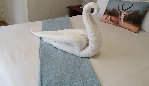 Appartement Familial, vue piscine
