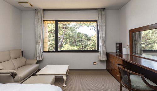 Chambre Double Supérieure, non-fumeurs