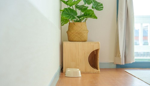 Chambre, 1 chambre (201)