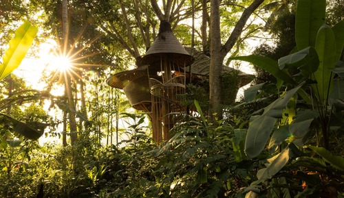 Tree House Luxe