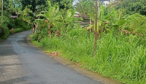 Bungalow Romantique