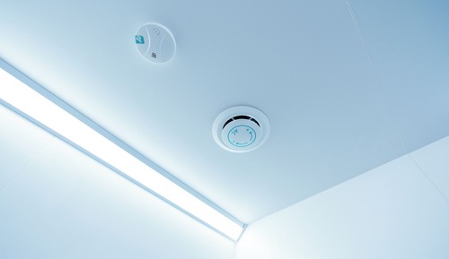 Chambre Simple (Earth Single)