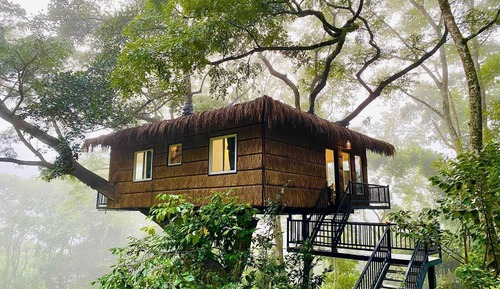 Tree House Premium