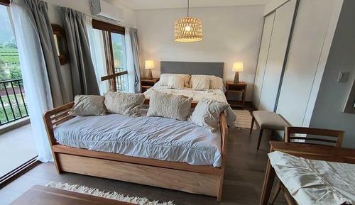 Studio Confort, vue vignoble