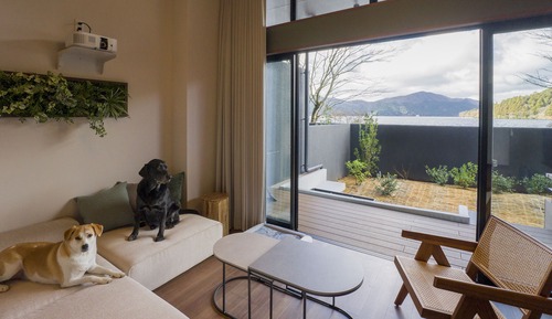 Chambre Standard, non-fumeurs (Loft included, Dog Friendly)