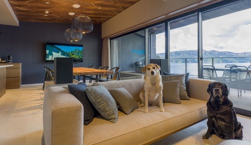 Chambre Exécutive, plusieurs lits, non-fumeurs (Dog Friendlyl, Suite)