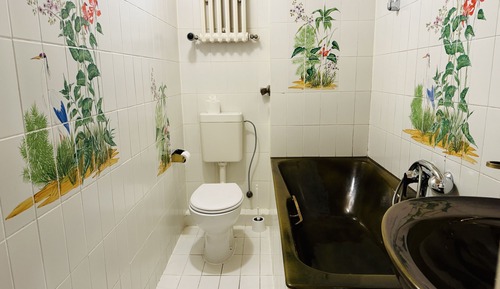 Chambre Classique avec lits jumeaux, salle de bains privée