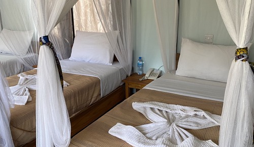 Chambre Standard Double ou avec lits jumeaux, 1 lit double