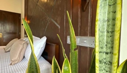 Chambre Double Supérieure, 1 grand lit