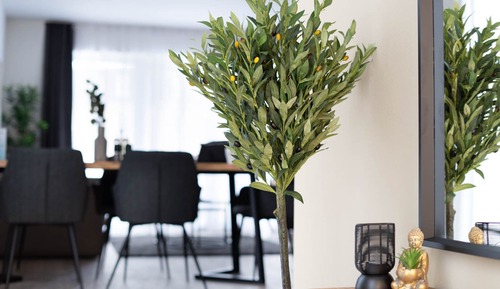 Appartement Familial