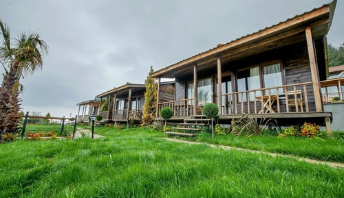 Tree House