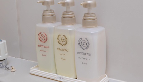Chambre Tradition avec lits jumeaux, 2 lits une place, non-fumeurs (Showa)