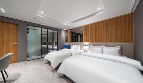 Chambre Deluxe avec lits jumeaux