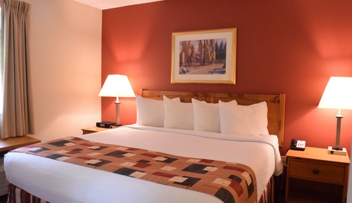 Suite Studio, 1 chambre (1 King Bed)