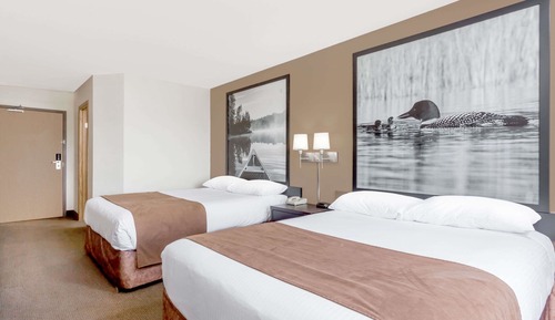 Chambre Standard, 2 grands lits