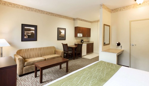 Suite Studio, 1 très grand lit et 1 canapé-lit, non-fumeurs