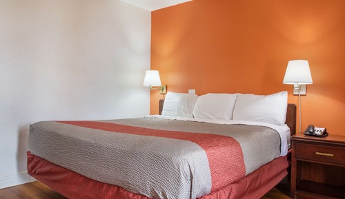 Chambre Deluxe, 1 très grand lit, accessible aux personnes à mobilité réduite, non-fumeurs