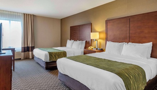 Chambre, 2 grands lits, accessible aux personnes à mobilité réduite, non-fumeurs