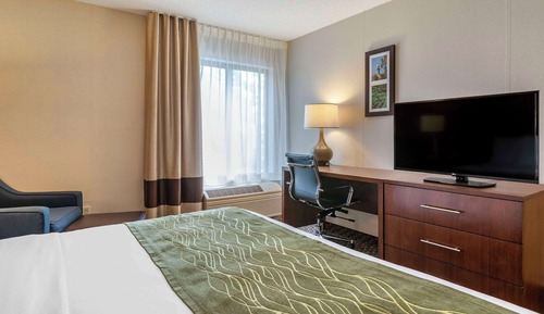 Chambre Standard, 1 très grand lit, non-fumeurs