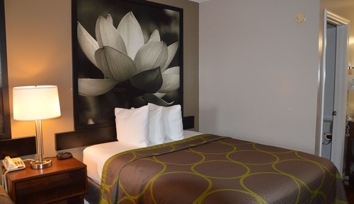Chambre, 1 grand lit, accessible aux personnes à mobilité réduite, non-fumeurs