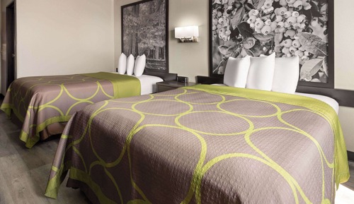Chambre Standard, 2 grands lits
