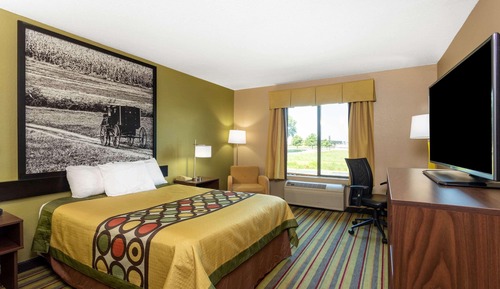 Chambre, 1 grand lit, accessible aux personnes à mobilité réduite, non-fumeurs