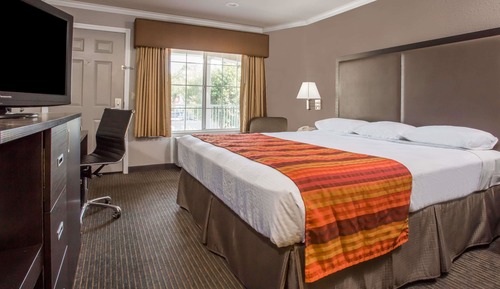 Chambre Standard, 1 très grand lit