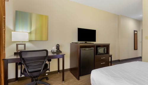 Chambre Standard, 1 grand lit, accessible aux personnes à mobilité réduite, baignoire (Pet Friendly)