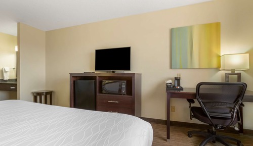 Chambre Standard, 1 très grand lit, non-fumeurs, réfrigérateur et four à micro-ondes (Pet Friendly)