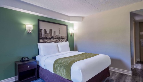 Chambre Standard, 1 grand lit, fumeurs