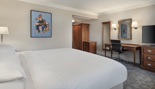 Chambre Supérieure, 1 grand lit et 1 canapé-lit