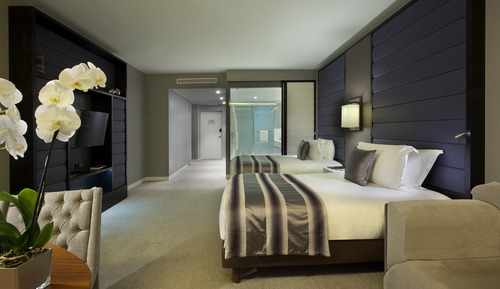 Chambre Classique, 2 lits une place, accessible aux personnes à mobilité réduite, vue jardin