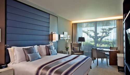 Chambre Classique, 1 très grand lit, vue jardin