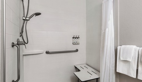 Chambre Standard, 1 très grand lit (Mobility, Roll-In Shower)
