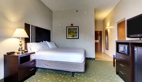 Suite, 1 très grand lit, accessible aux personnes à mobilité réduite (Mobility, Roll-In Shower)