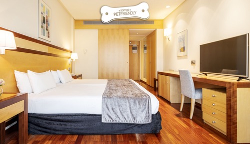 Chambre Double (Pet Friendly)