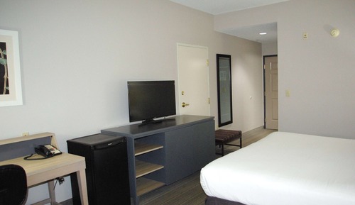 Chambre, 1 très grand lit, accessible aux personnes à mobilité réduite (Mobility, Roll-In Shower)