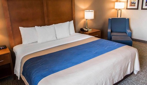 Chambre Standard, 1 très grand lit, accessible aux personnes à mobilité réduite (Roll-In Shower)