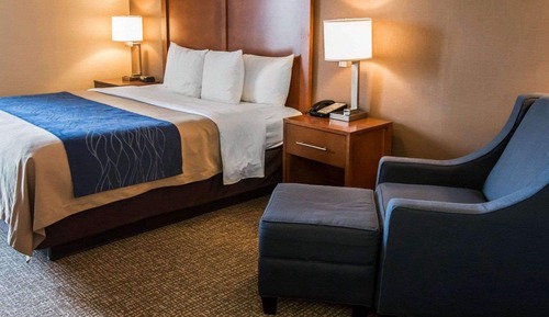 Chambre Standard, 1 très grand lit, accessible aux personnes à mobilité réduite (Accessible Bathtub)