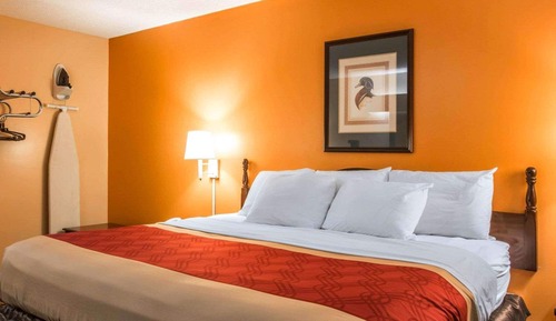 Chambre Standard, 1 très grand lit, non-fumeurs