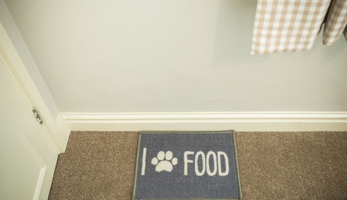 Chambre Standard, 1 lit double, non-fumeurs (Pet Friendly)
