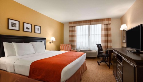 Chambre, 1 très grand lit, accessible aux personnes à mobilité réduite, non-fumeurs (Roll-in Shower)
