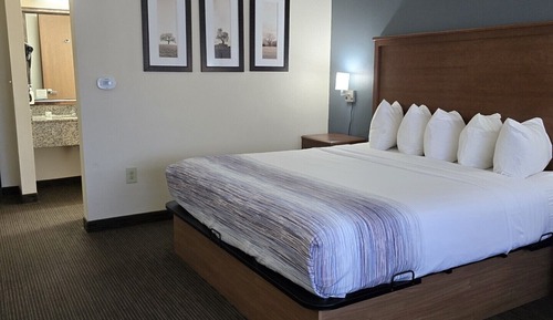 Chambre Exécutive, 1 très grand lit, non-fumeurs