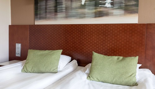 Chambre Standard (King)