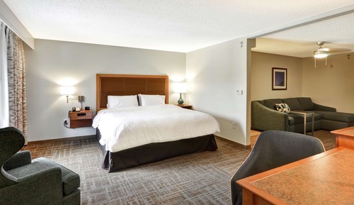Suite, 1 très grand lit, accessible aux personnes à mobilité réduite, non-fumeurs (Roll-in Shower)