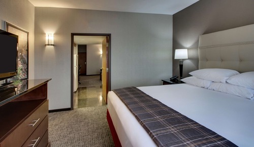 Suite, 1 très grand lit et 1 canapé-lit, réfrigérateur et four à micro-ondes (2 rooms)