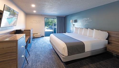 Chambre, en bord de piscine (Single King)
