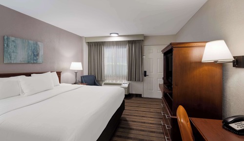 Chambre Standard, 1 très grand lit, non-fumeurs, réfrigérateur