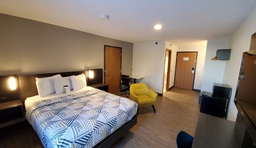Chambre Deluxe, 1 grand lit, non-fumeurs, réfrigérateur et four à micro-ondes
